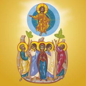 Vaznesenje 2017 (11)
