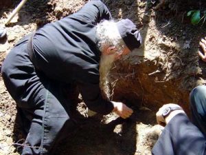 Mosti Georgija Vitkovica (2)